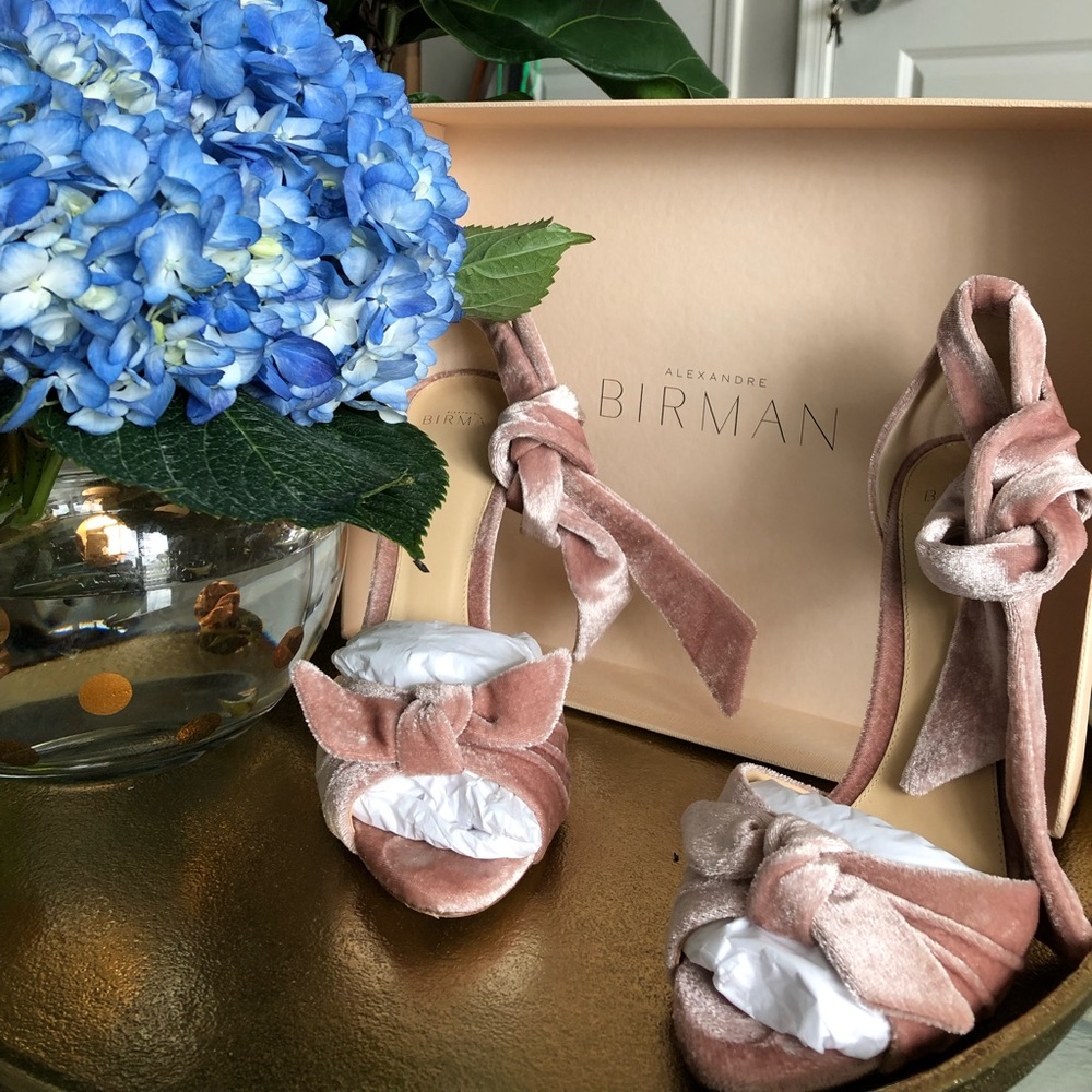Alexandre Birman “Jessica” Velvet Heel